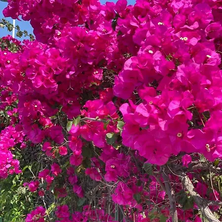 Abcdecor Italia Appartement Imperia