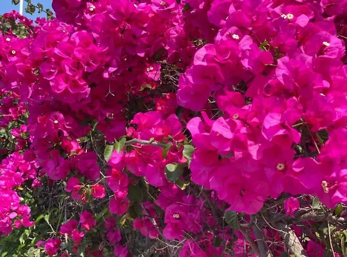 Abcdecor Italia شقة إمبيريا